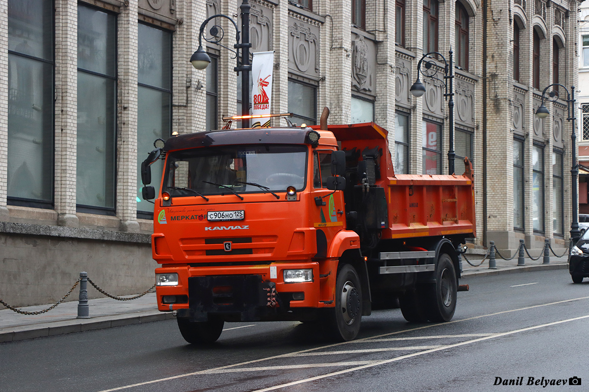 Приморский край, № С 906 НО 125 — КамАЗ-53605-A5(48)