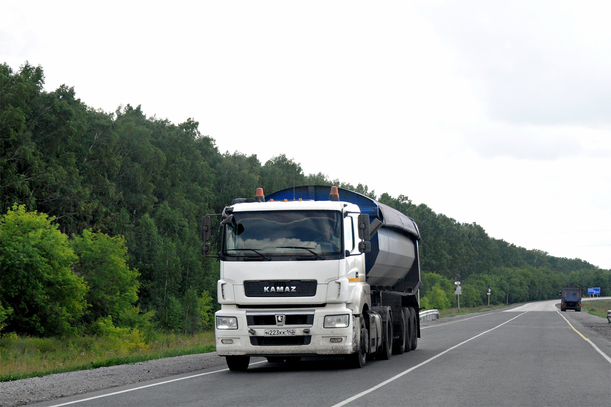 Кемеровская область, № Н 223 КК 142 — КамАЗ-5490-S5(87)