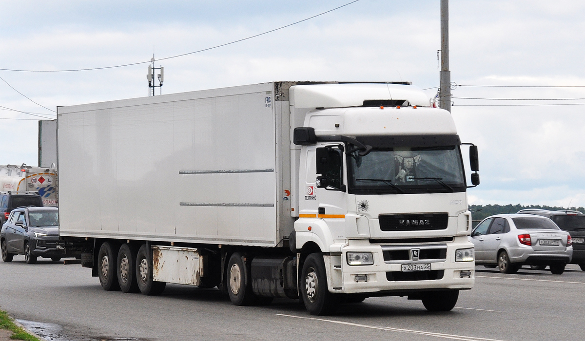 Омская область, № Х 203 НА 55 — КамАЗ-5490-S5(87)