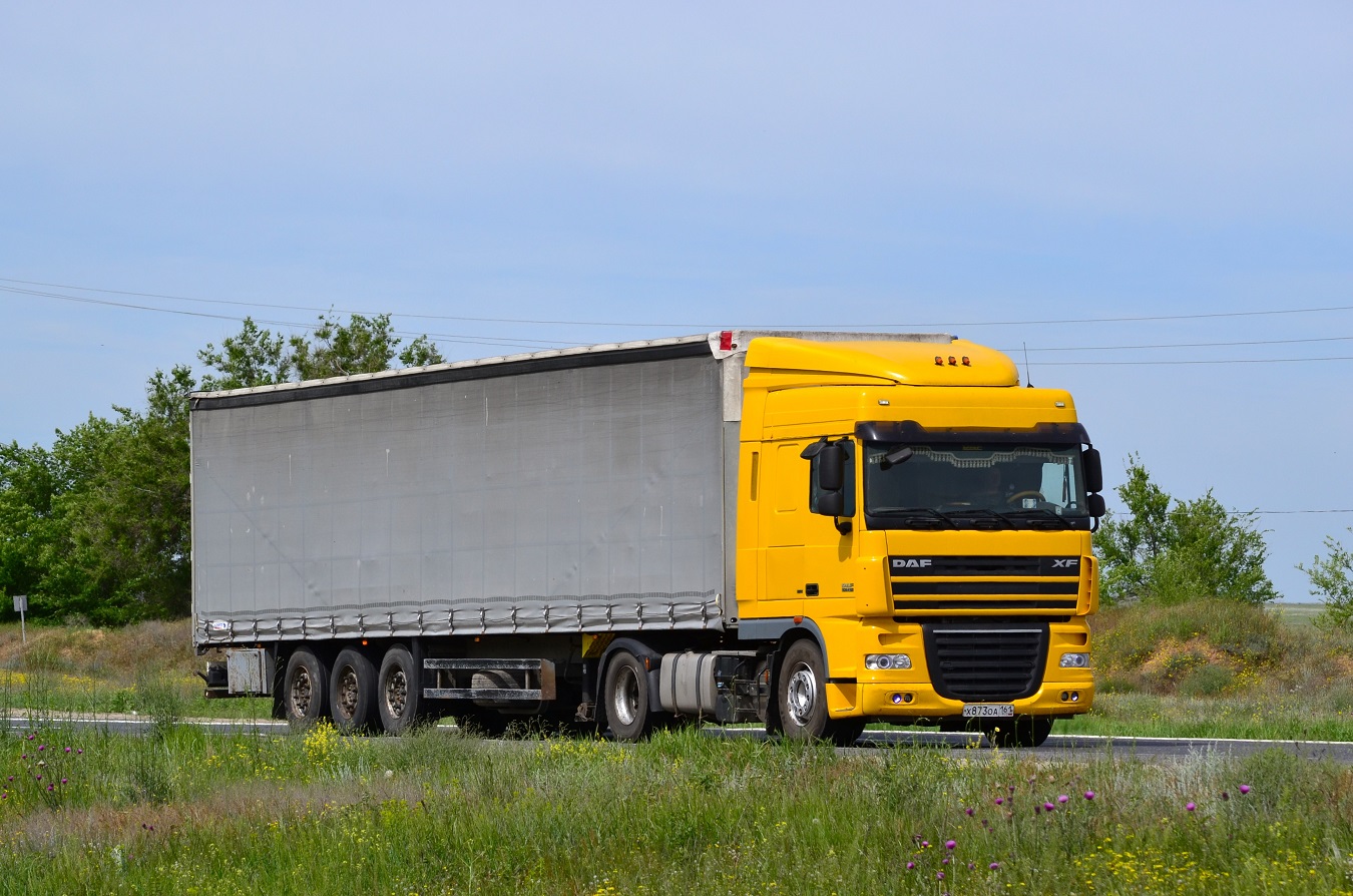 Ростовская область, № Х 873 ОА 161 — DAF XF105 FT