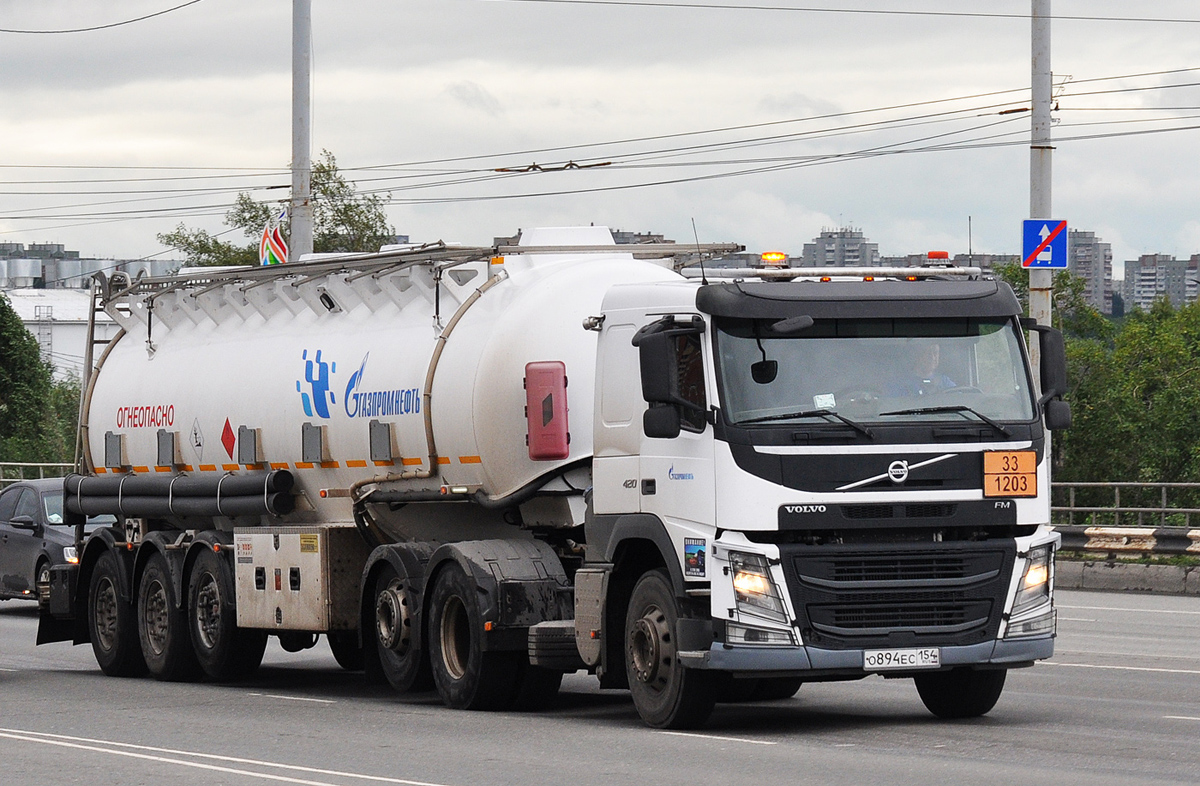 Омская область, № О 894 ЕС 154 — Volvo ('2013) FM.420 [X9P]