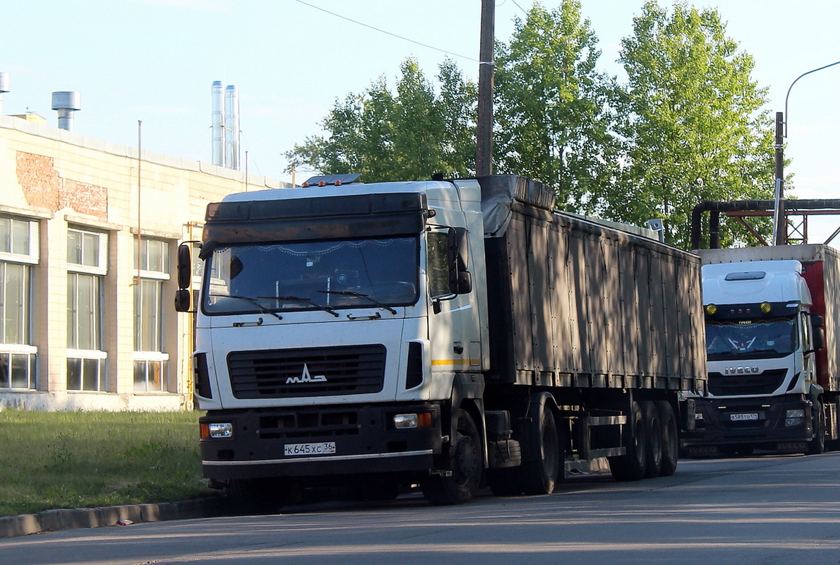Воронежская область, № К 645 ХС 36 — МАЗ-5440A8