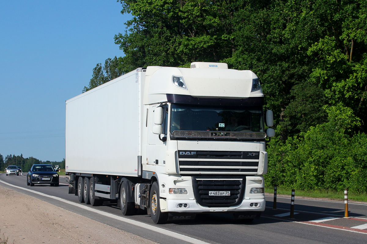 Калининградская область, № Р 483 ВР 39 — DAF XF105 FT