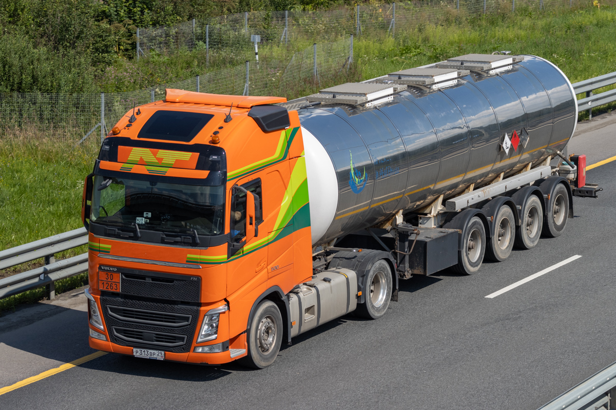 Архангельская область, № Р 313 ВР 29 — Volvo ('2012) FH.500