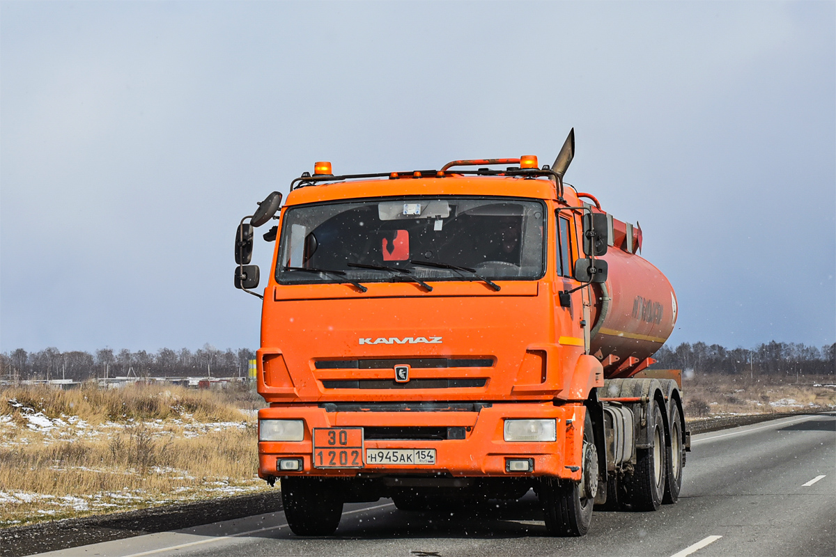 Новосибирская область, № Н 945 АК 154 — КамАЗ-65115-L4(19)