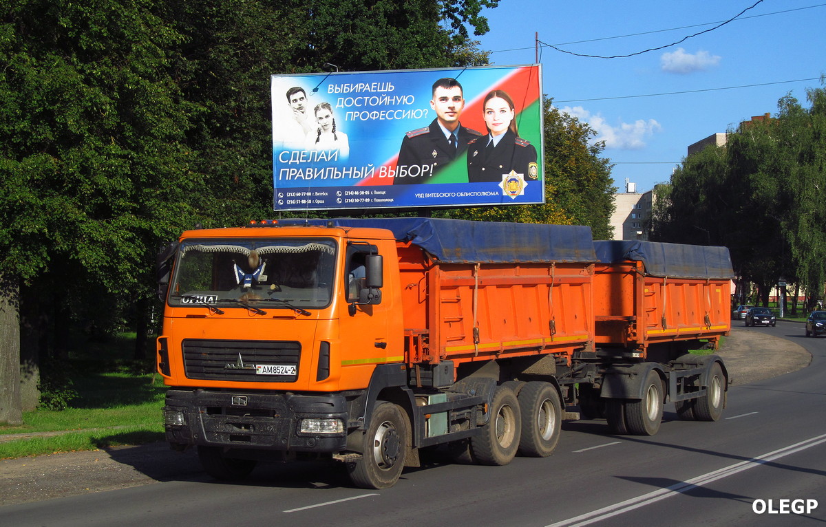 Витебская область, № АМ 8524-2 — МАЗ-650128