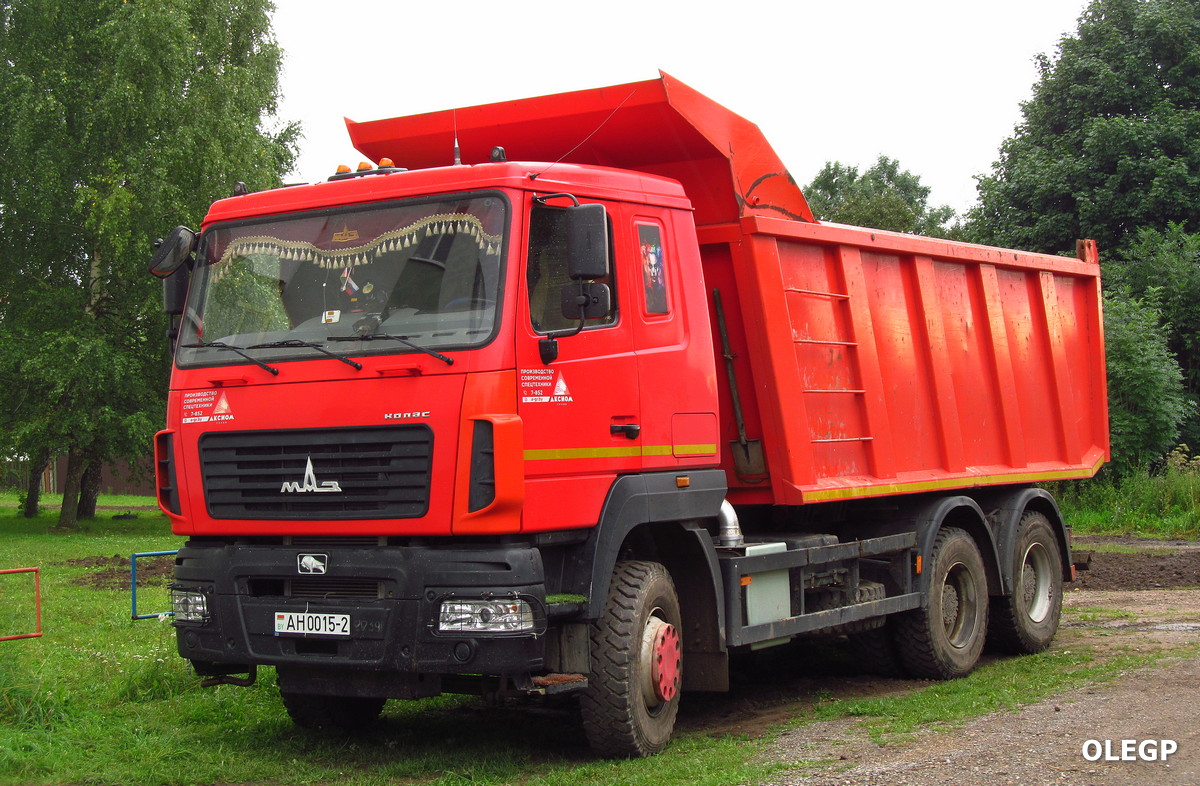 Витебская область, № АН 0015-2 — МАЗ-650128