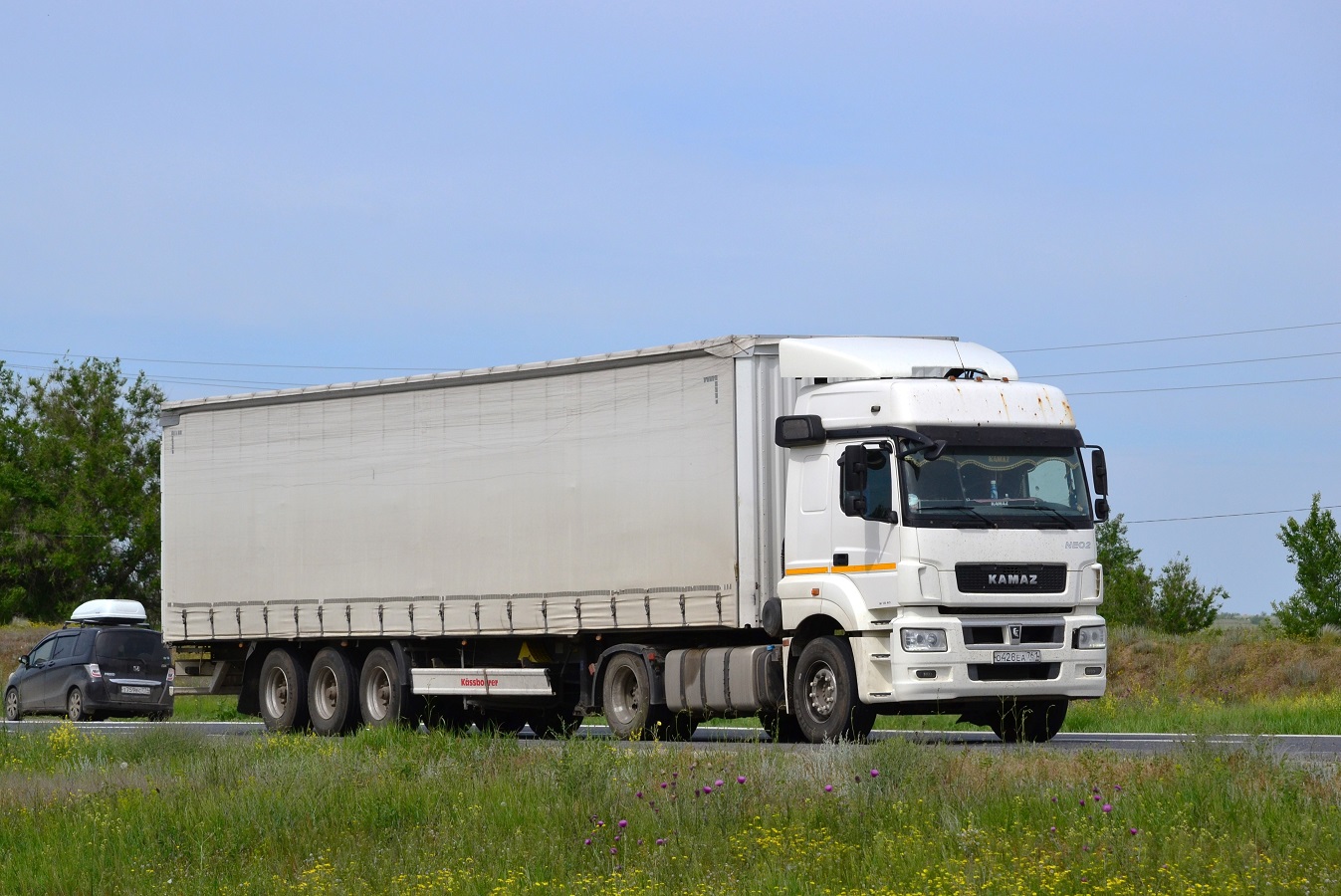 Ростовская область, № О 428 ЕА 761 — КамАЗ-5490-S5(87)