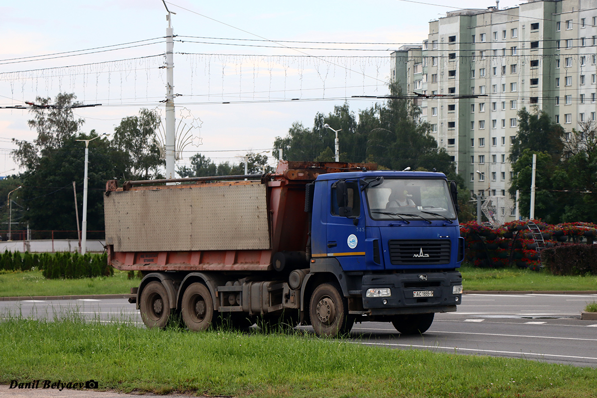 Минск, № 585 — МАЗ-6501B9