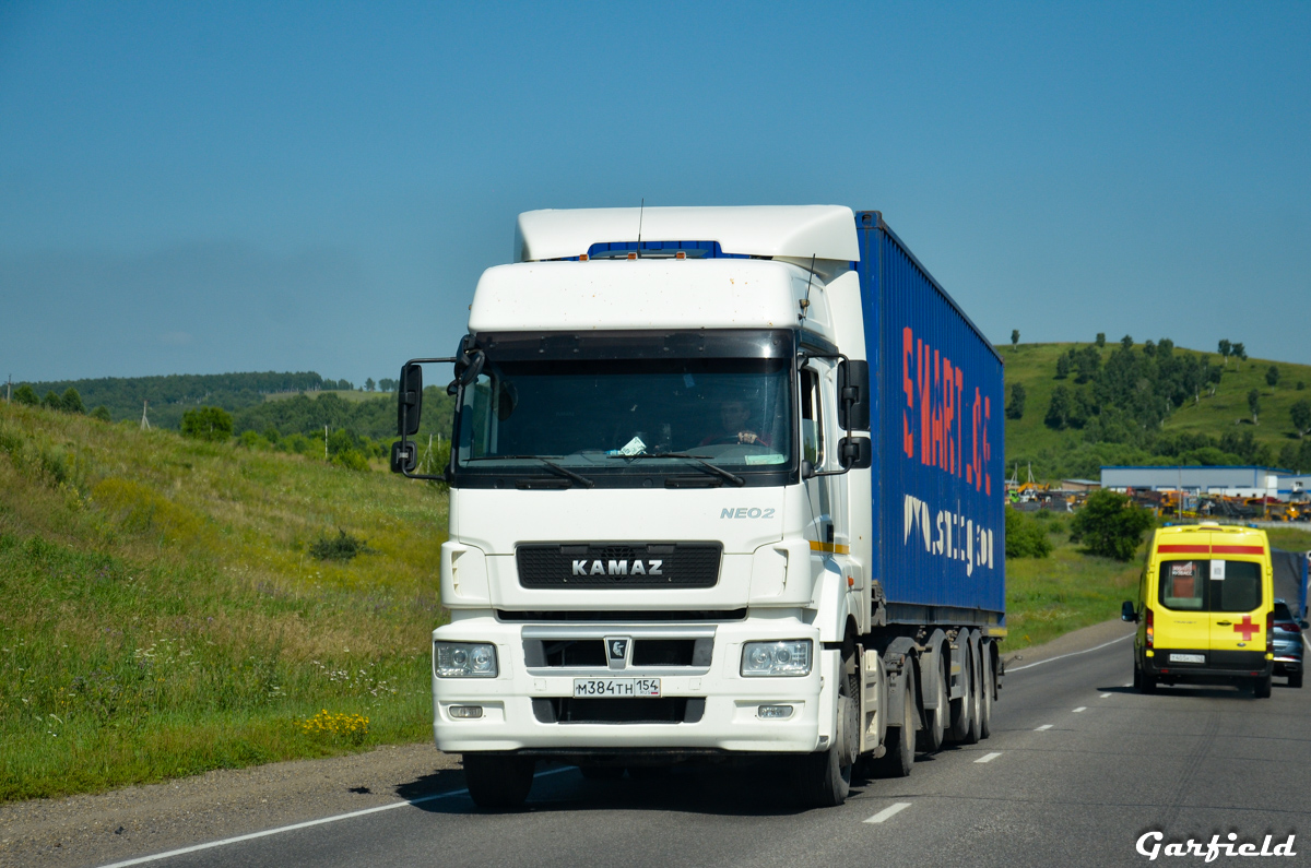 Новосибирская область, № М 384 ТН 154 — КамАЗ-5490-S5(87)
