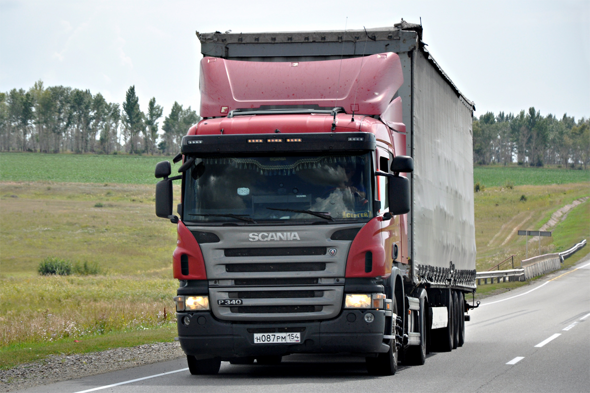 Новосибирская область, № Н 087 РМ 154 — Scania ('2004) P340