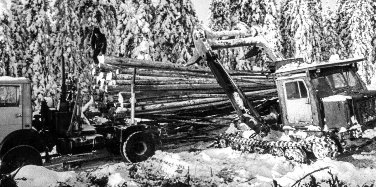 Архангельская область — Исторические фотографии (Разное)