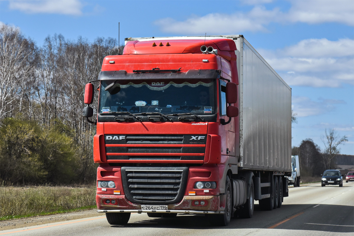 Свердловская область, № С 264 УС 196 — DAF XF105 FT