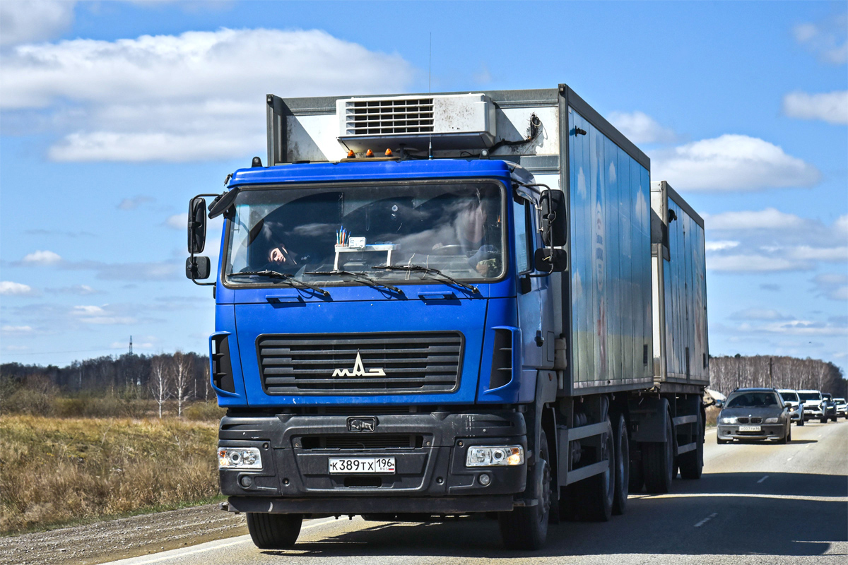Свердловская область, № К 389 ТХ 196 — МАЗ-6312C9