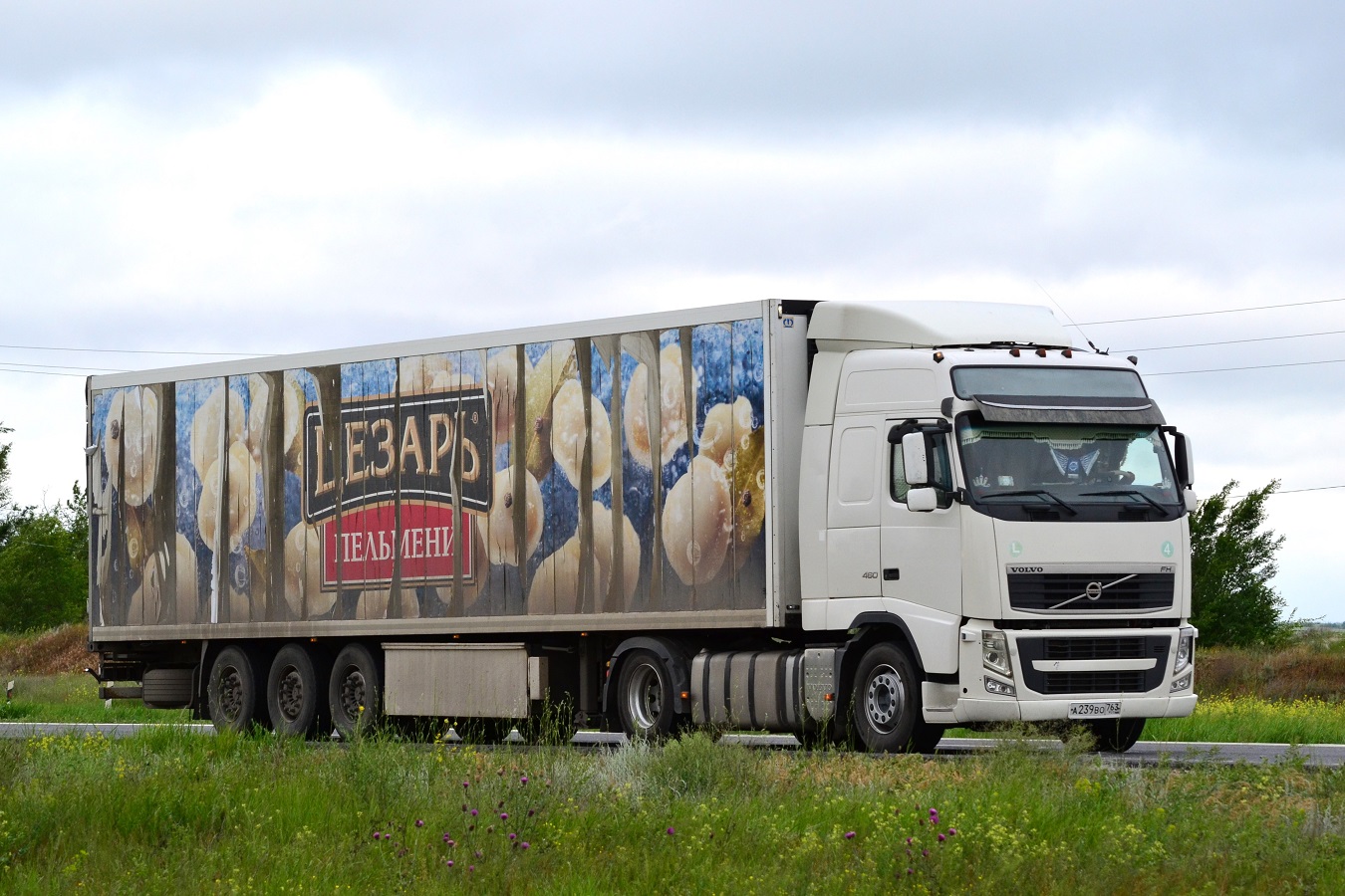 Самарская область, № А 239 ВО 763 — Volvo ('2008) FH.460