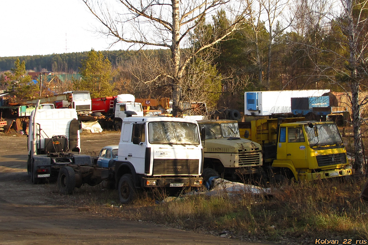 Алтайский край, № Е 396 ОМ 22 — МАЗ-53362