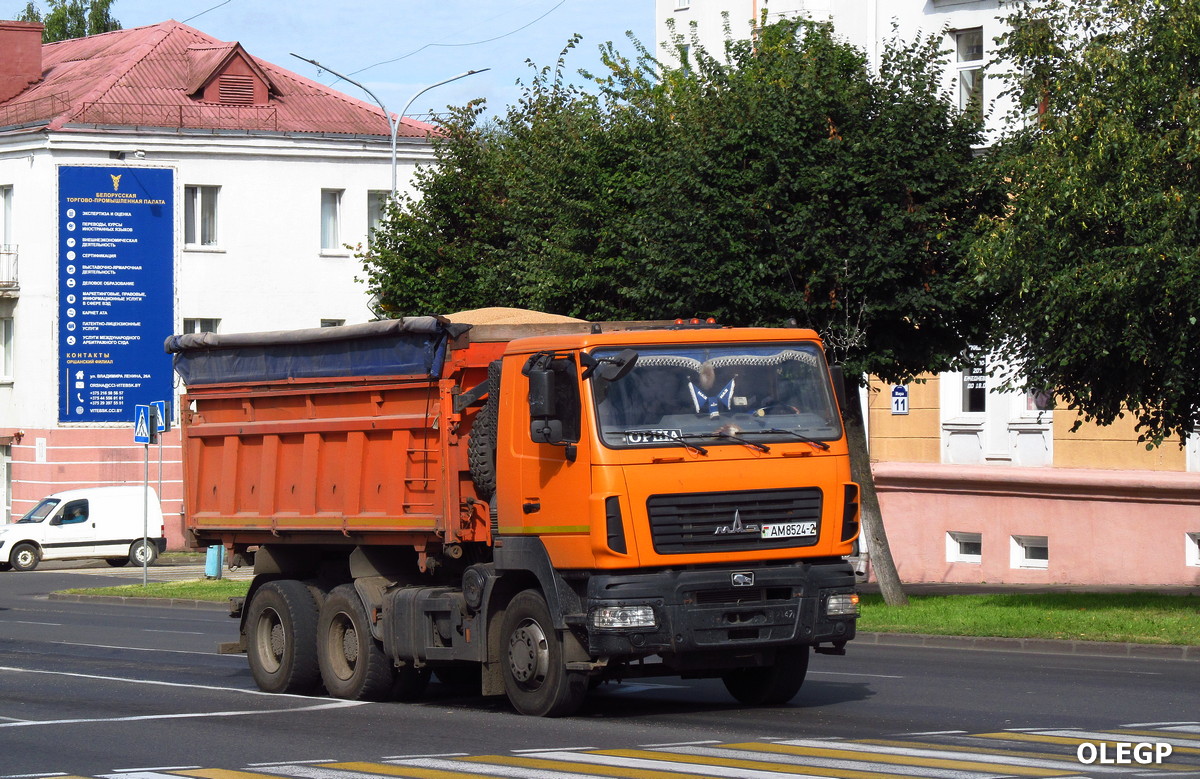 Витебская область, № АМ 8524-2 — МАЗ-650128