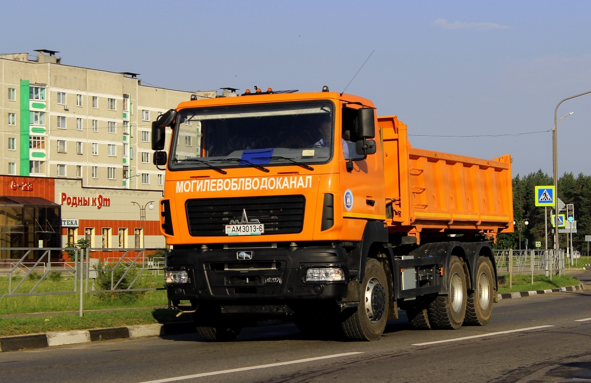 Могилёвская область, № АМ 3013-6 — МАЗ-650128