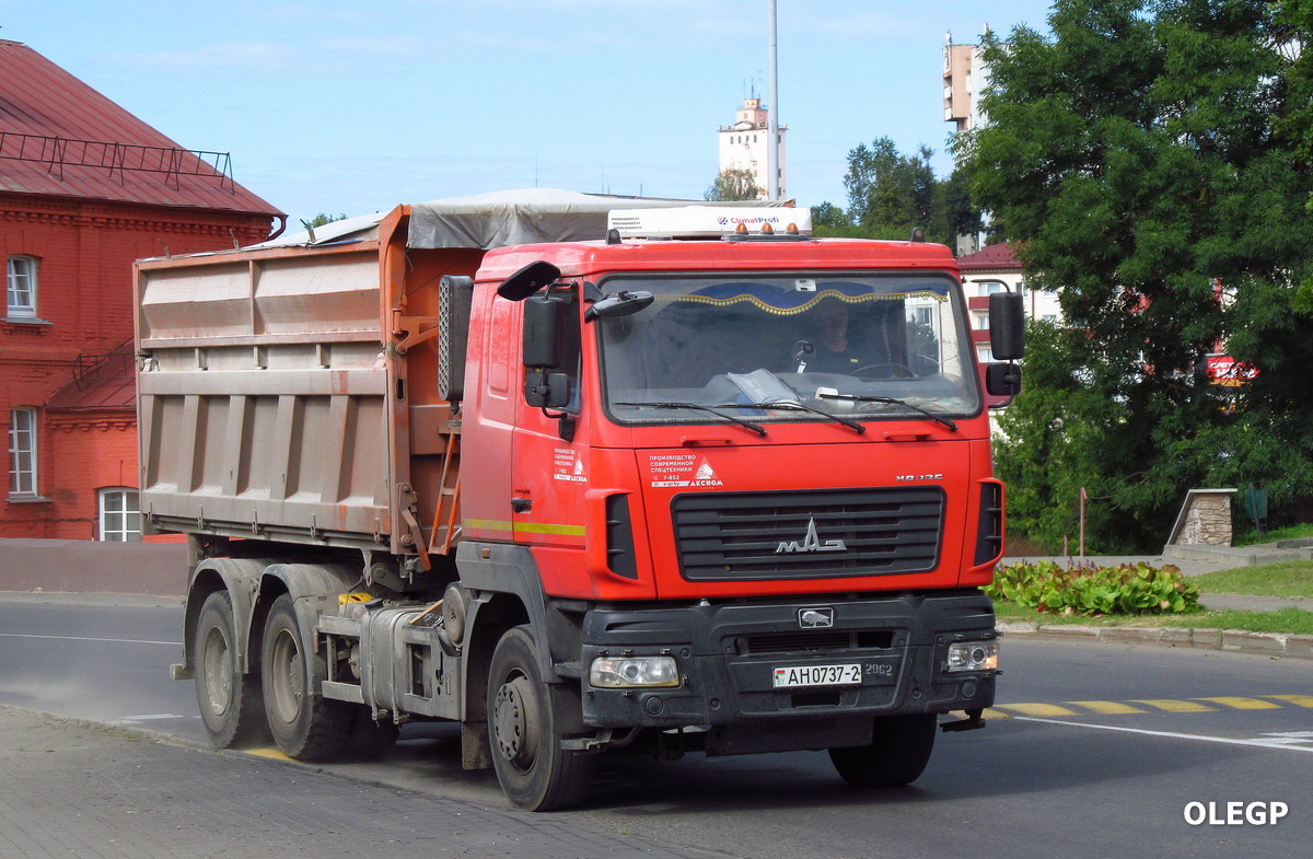 Витебская область, № АН 0737-2 — МАЗ-650128