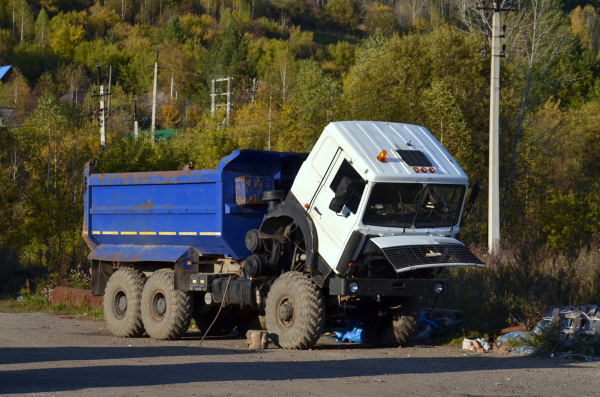 Кемеровская область, № О 604 МУ 142 — МАЗ-631705