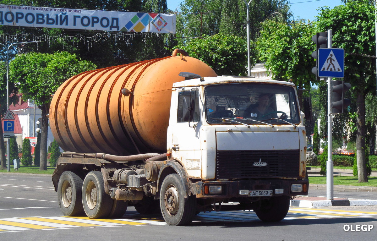 Витебская область, № АЕ 5869-2 — МАЗ-5516 (общая модель)
