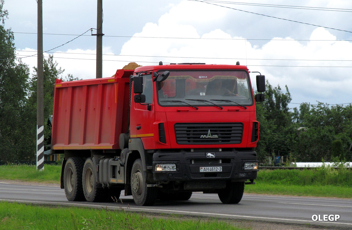 Витебская область, № АН 4612-2 — МАЗ-650128