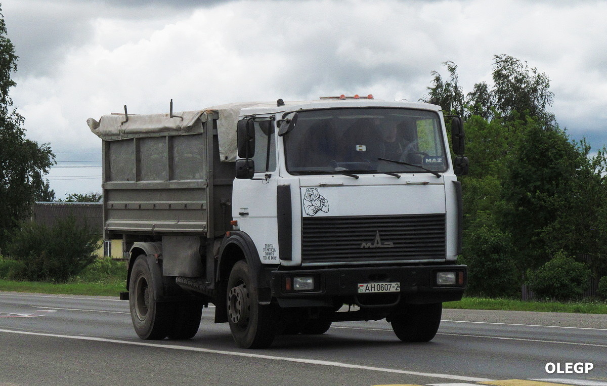 Витебская область, № АН 0607-2 — МАЗ-5551 (общая модель)