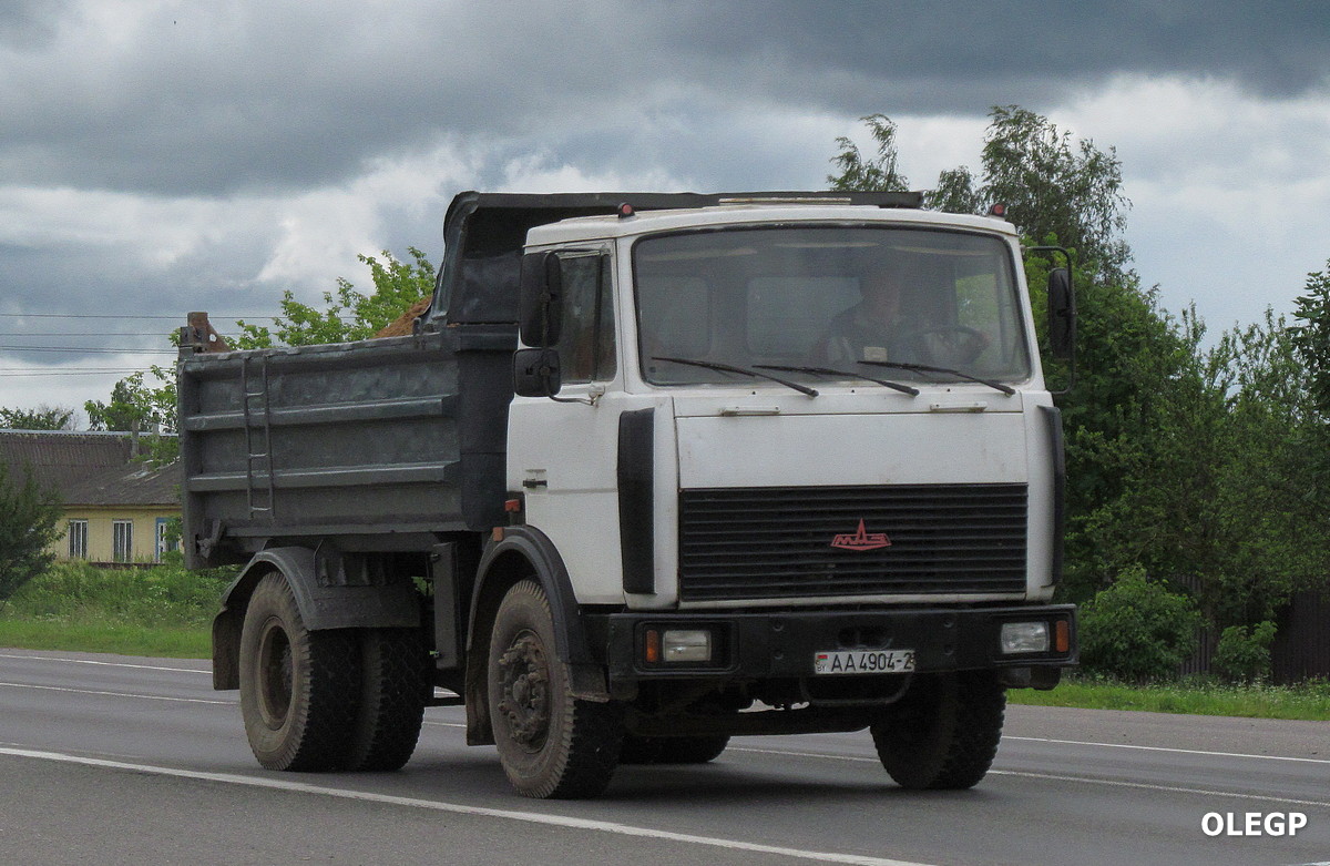 Витебская область, № АА 4904-2 — МАЗ-5551 (общая модель)