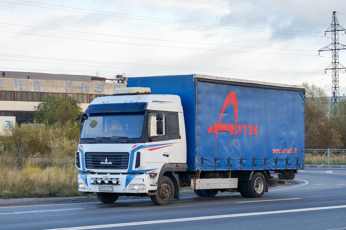 Архангельская область, № М 800 АК 29 — МАЗ-4371W1