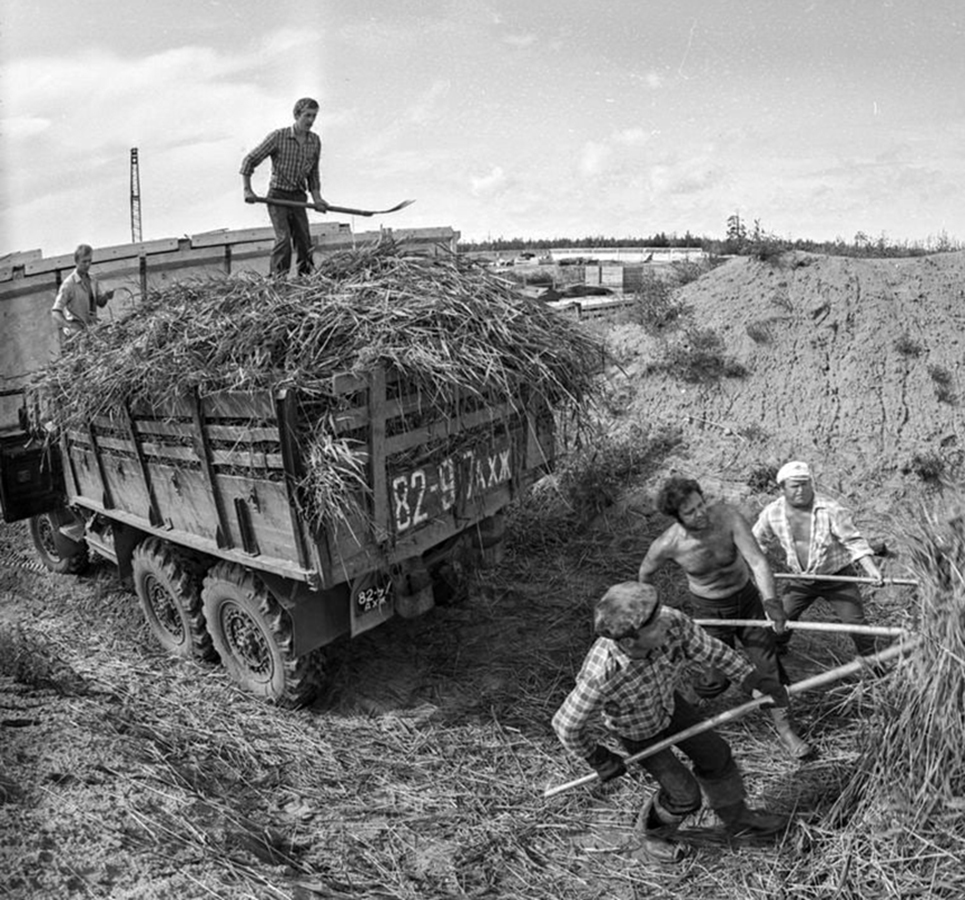 Архангельская область, № 82-97 АХЖ — ЗИЛ-131 (общая модель); Архангельская область — Исторические фотографии (Автомобили)