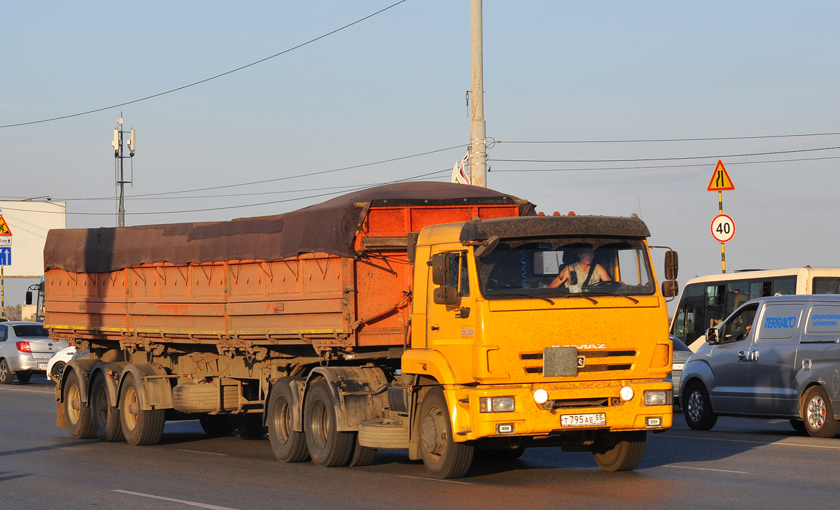 Омская область, № Т 795 АЕ 55 — КамАЗ-65116-N3(78)