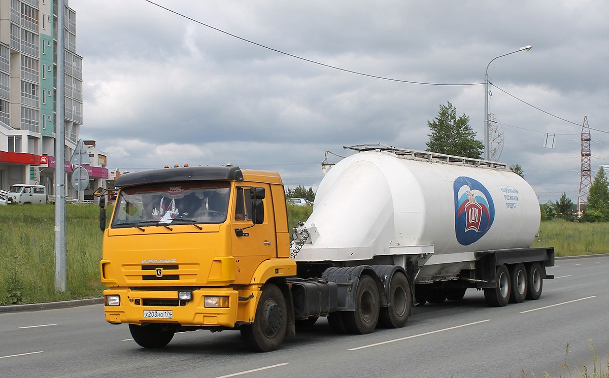 Челябинская область, № Х 203 НО 174 — КамАЗ-65116-N3(78)