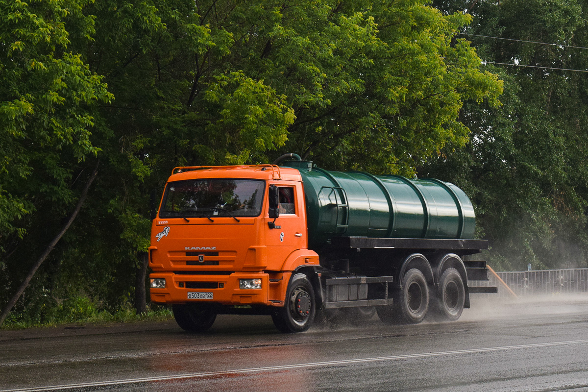 Алтайский край, № В 503 ХВ 122 — КамАЗ-65115-D3(97)
