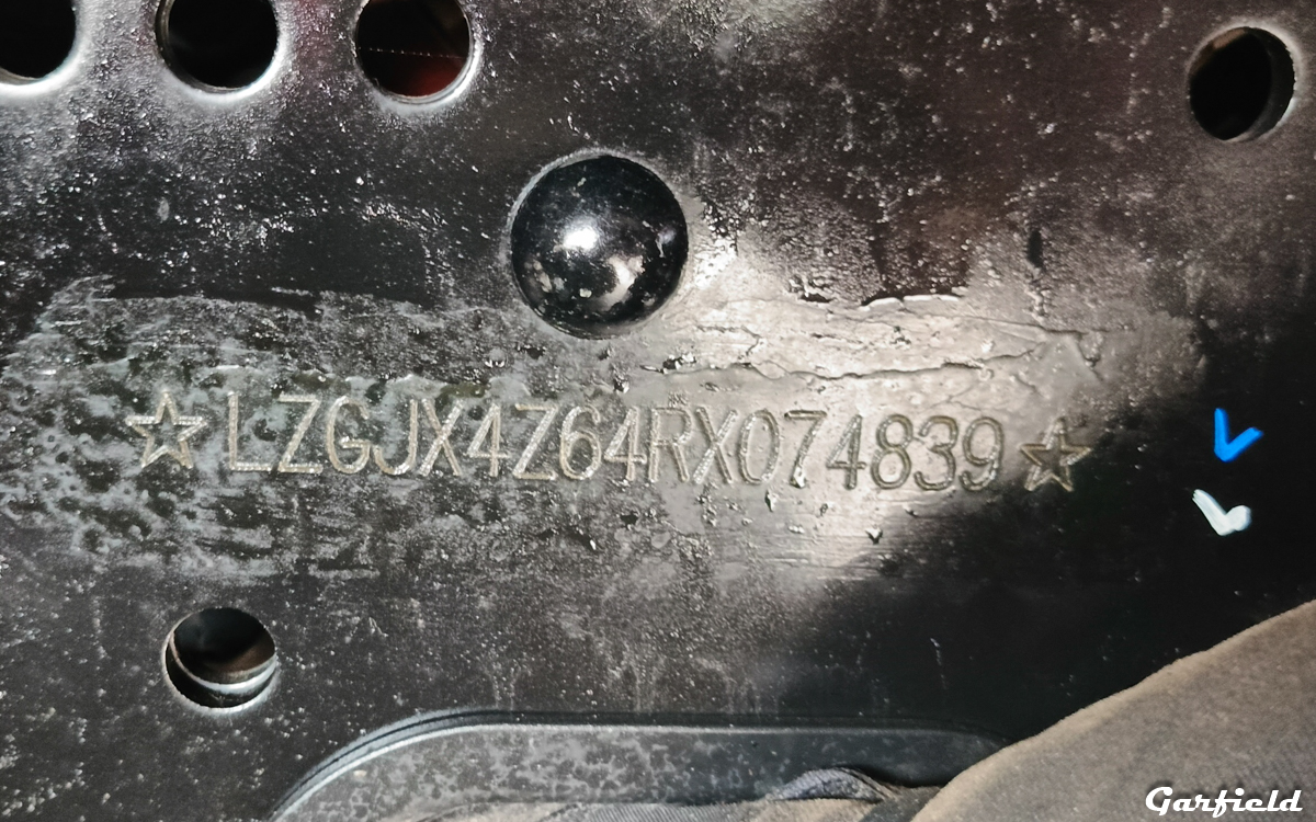 Новосибирская область, № (54) Б/Н 0059 — Shaanxi Shacman X3000 SX3318