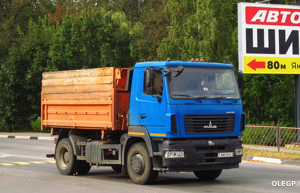 Витебская область, № АМ 1910-2 — МАЗ-5550C5