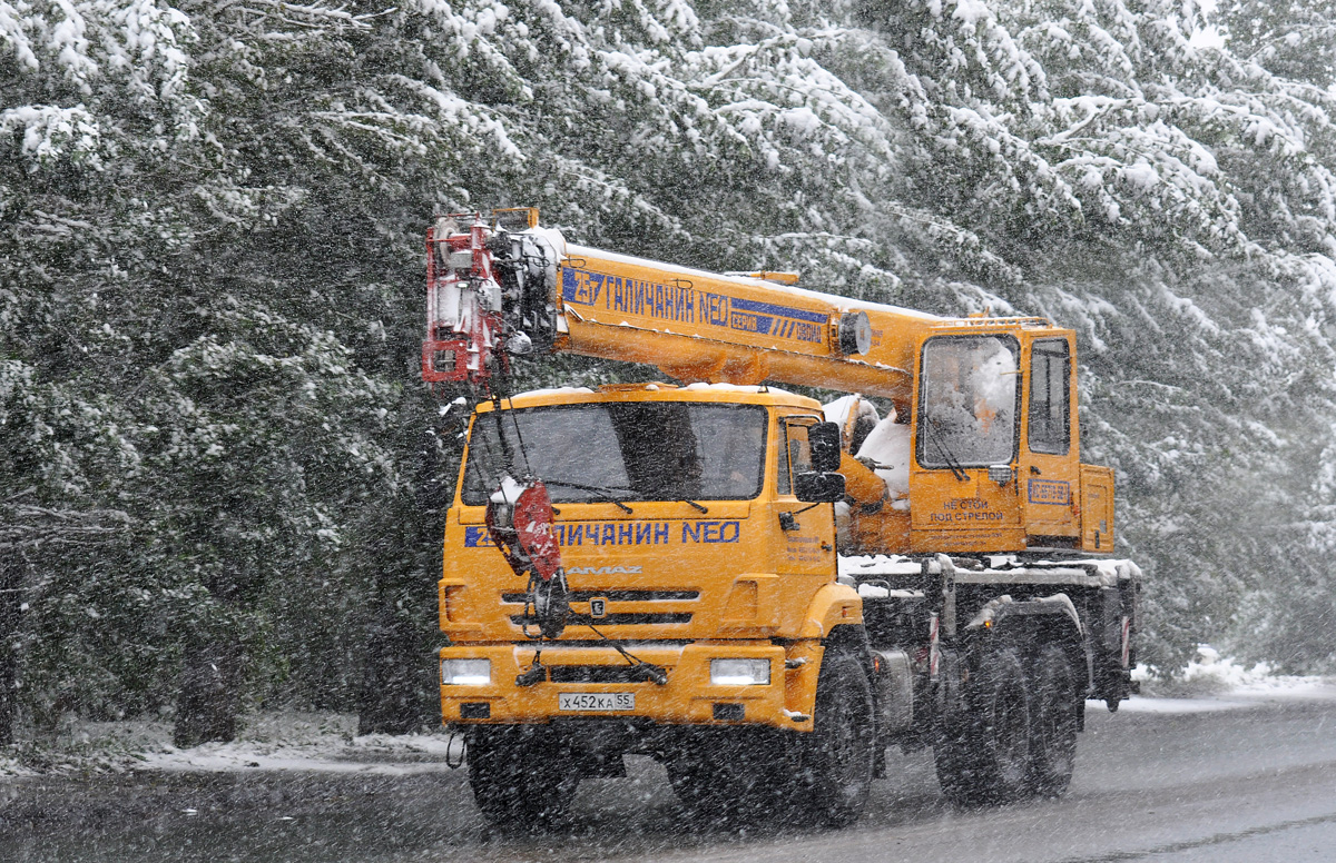 Омская область, № Х 452 КА 55 — КамАЗ-43118-46