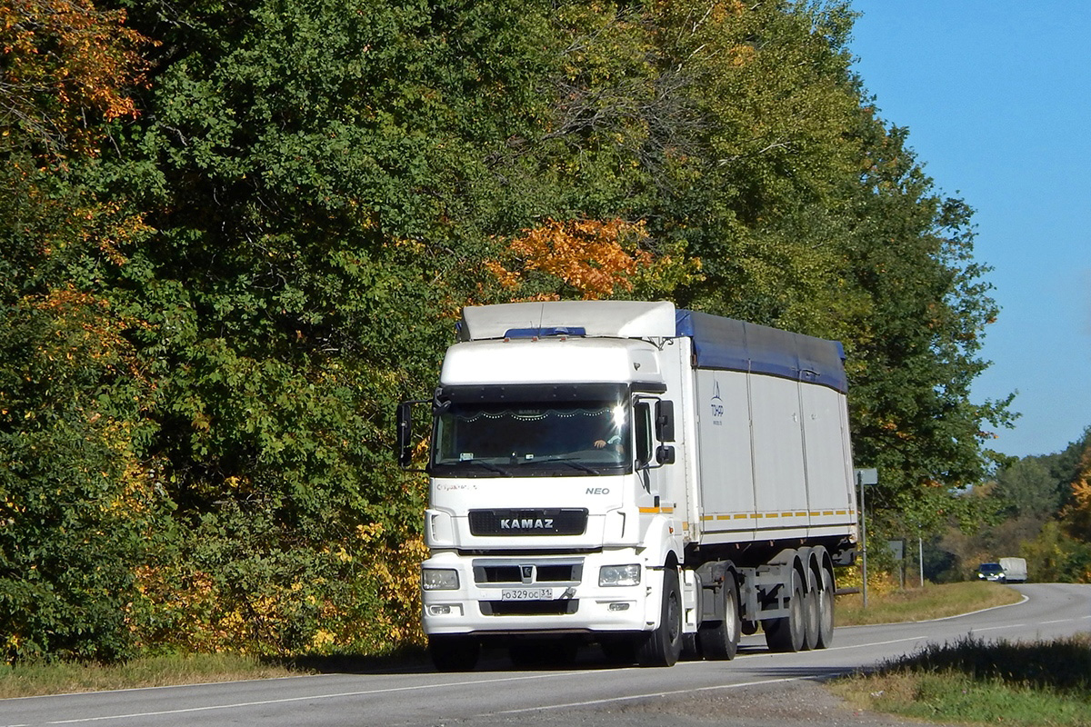 Белгородская область, № О 329 ОС 31 — КамАЗ-5490-S5(87)