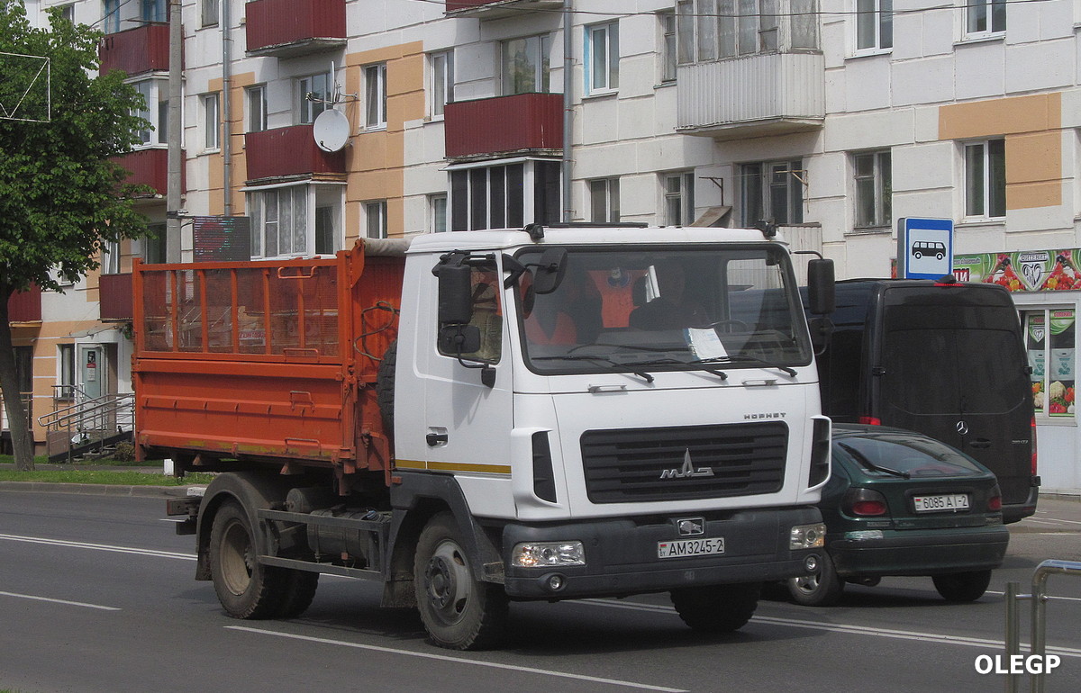 Витебская область, № АМ 3245-2 — МАЗ-4571