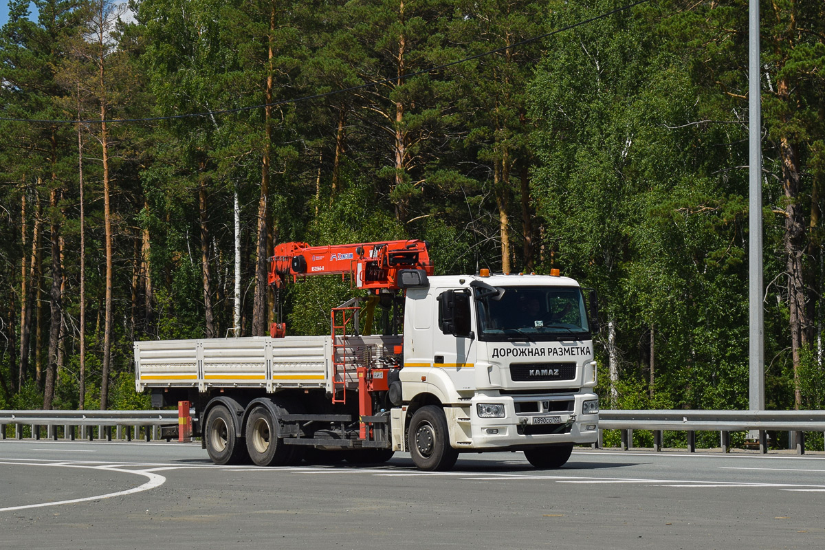 Алтайский край, № А 890 СО 122 — КамАЗ-65207-S5(87)