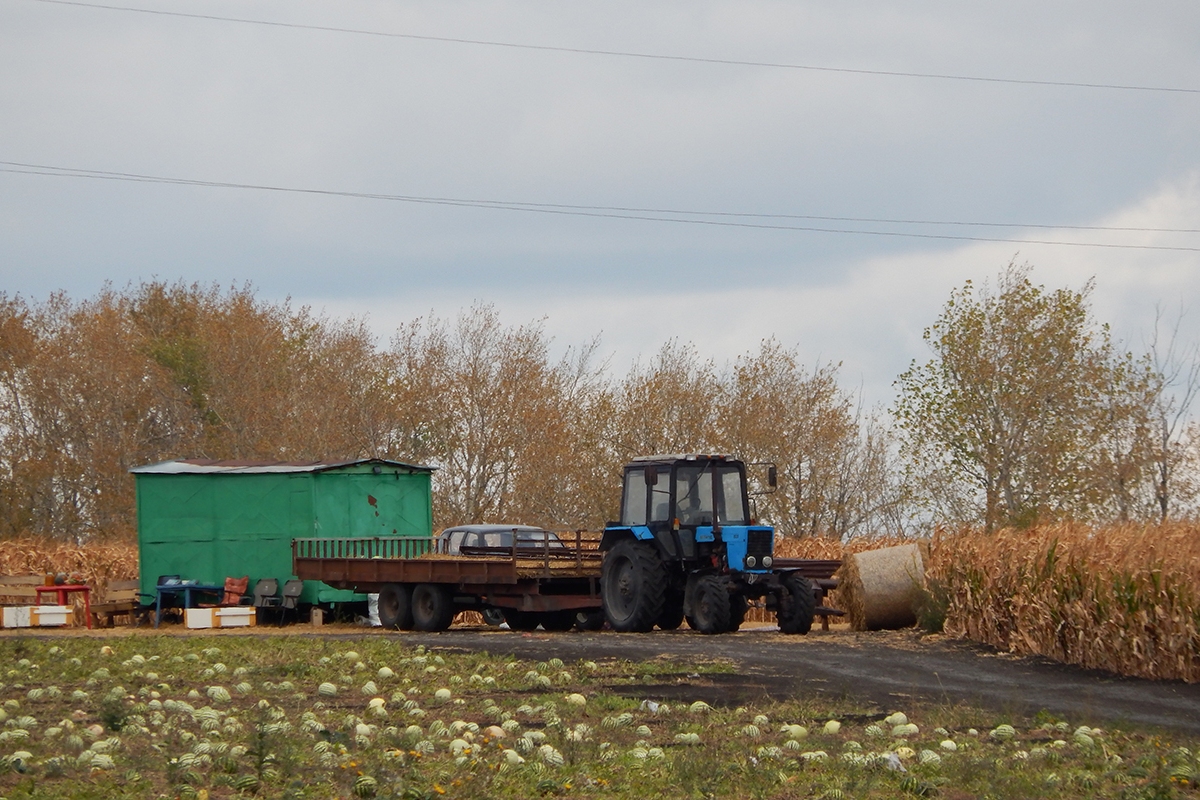 Белгородская область, № 7698 ЕТ 31 — Беларус-82.1