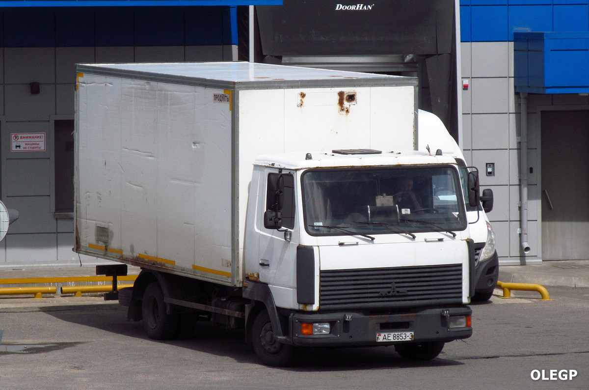 Гомельская область, № АЕ 8853-3 — МАЗ-4371 (общая модель)