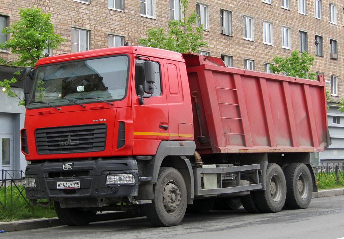 Санкт-Петербург, № Н 543 ЕУ 198 — МАЗ-650128