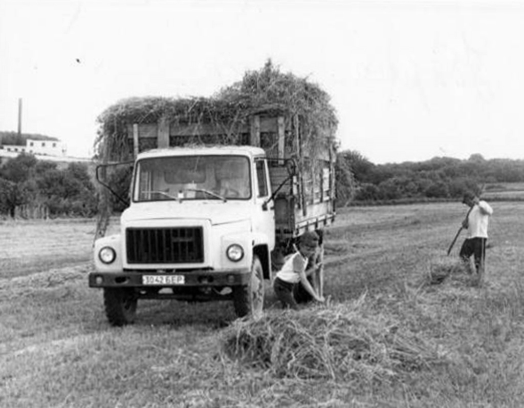 Белгородская область, № 3042 БЕР — ГАЗ-3307; Исторические фотографии (до 2000 года) (Белгородская область)