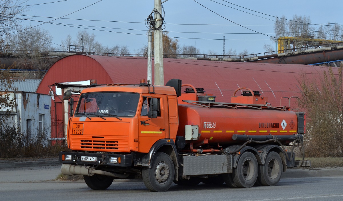 Кемеровская область, № Р 585 ЕА 142 — КамАЗ-65115-62