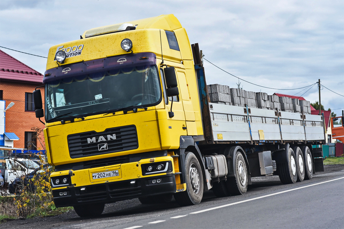 Свердловская область, № У 202 НЕ 96 — MAN F2000 19.xxx (общая)