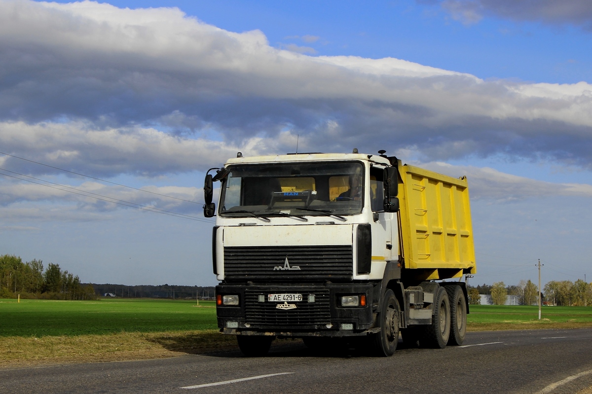 Могилёвская область, № АЕ 4291-6 — МАЗ-6501 (общая модель)