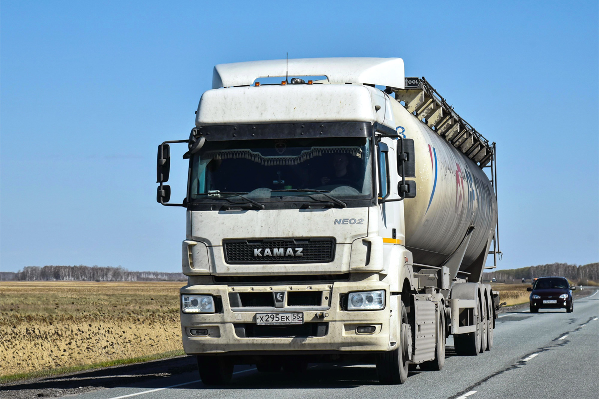 Омская область, № Х 295 ЕК 55 — КамАЗ-5490 (общая модель)