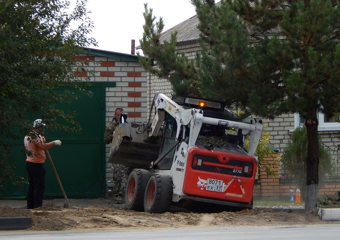 Белгородская область, № 8071 ЕХ 31 — Bobcat S770
