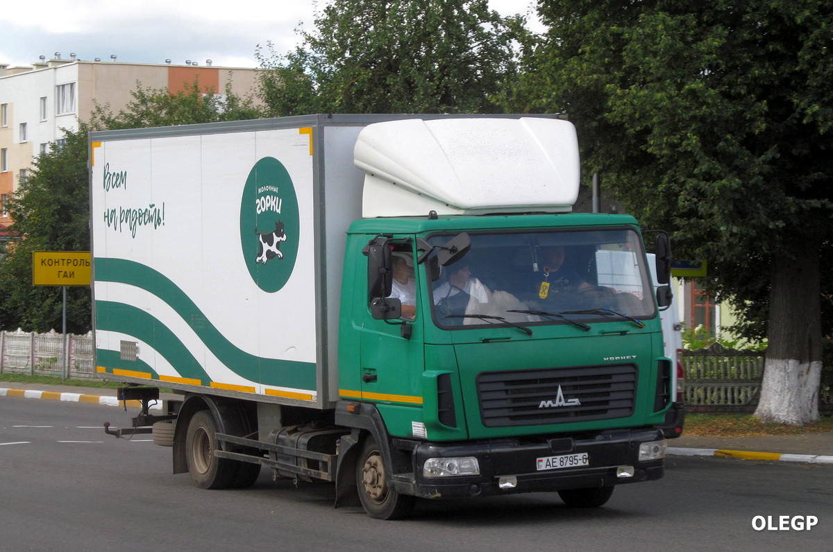 Могилёвская область, № АЕ 8795-6 — МАЗ-4371P2