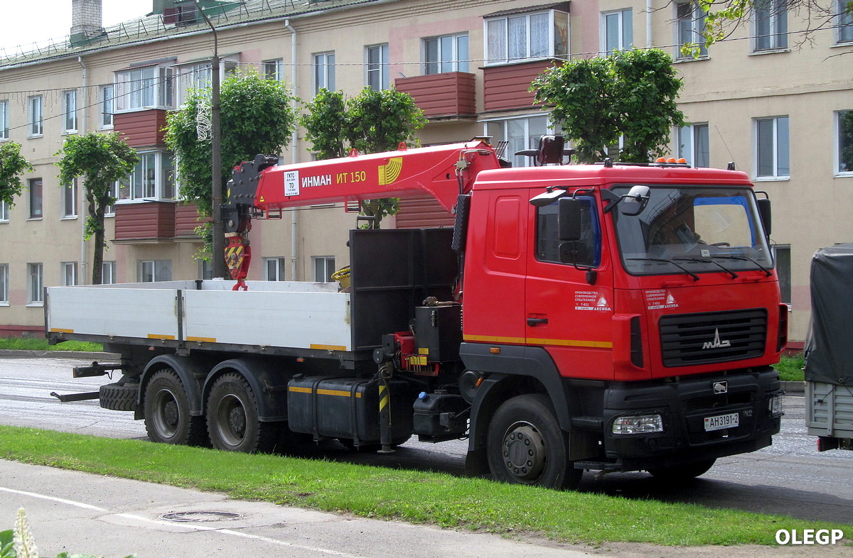 Витебская область, № АН 3191-2 — МАЗ-6312C5